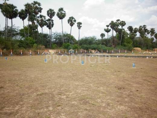 KKK Empire Mountain View