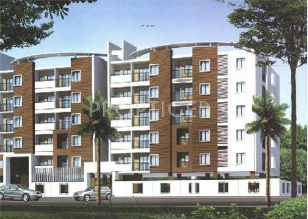  dew Dolphin Groups Dolphin Dew