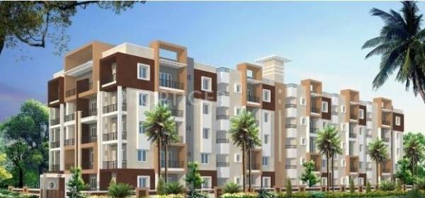 NSS Builders YD Loutes