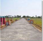 Zion Estates Doctors Township Zion Estates Doctors Township