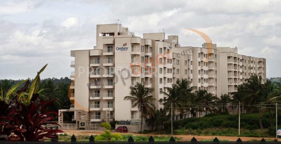  celeste Images for Elevation of Century Celeste