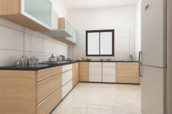 Images for Main Other of Scion Scion Windflower