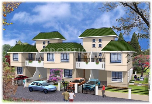 Images for Elevation of Swadesh Green Orchid Images for Elevation of Swadesh Green Orchid