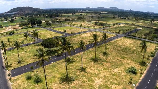 Images for Main Other of VS MSK Paradise