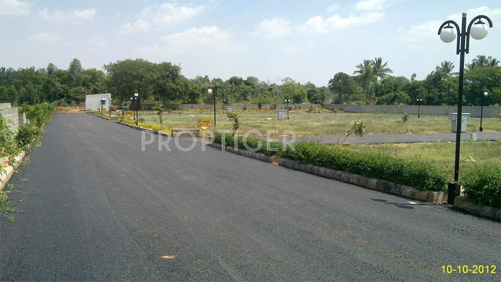 Pegasus Properties AVS Vantage Point