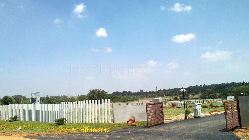 Pegasus Properties AVS Vantage Point