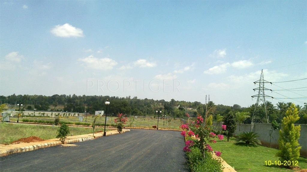 Pegasus Properties AVS Vantage Point