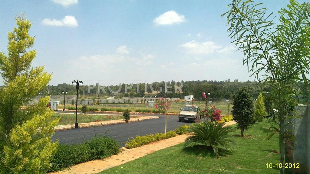 Pegasus Properties AVS Vantage Point