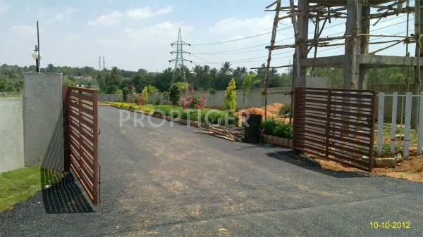 Pegasus Properties AVS Vantage Point