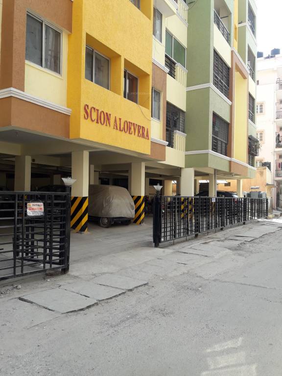  aloe vera Images for Project