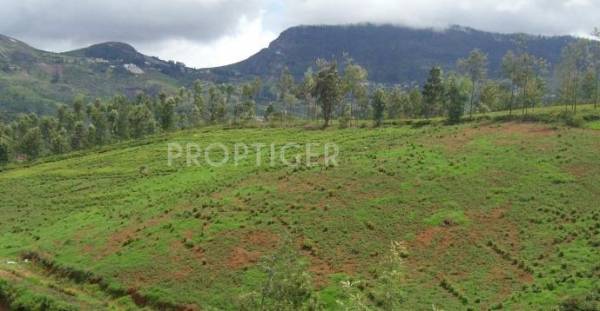 Images for Elevation of MCB Royale