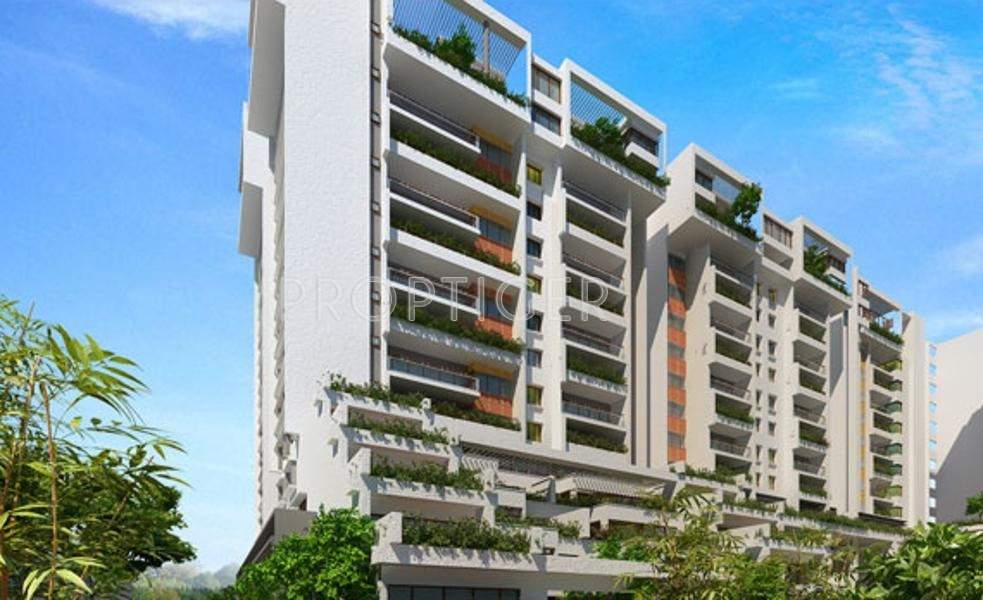 palm woods Images for Elevation of Spectra Palmwoods