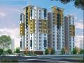 Apeksha Group Atelier