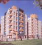 KN Pokar Construction Mahalaxmi Complex