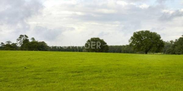 Images for Elevation of Sutapa Sutapa Land Project