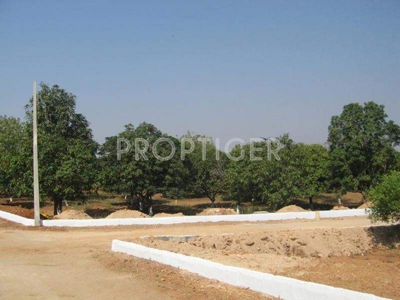 Images for Elevation of White Stone Infrastructure Pvt Ltd Asset Homes