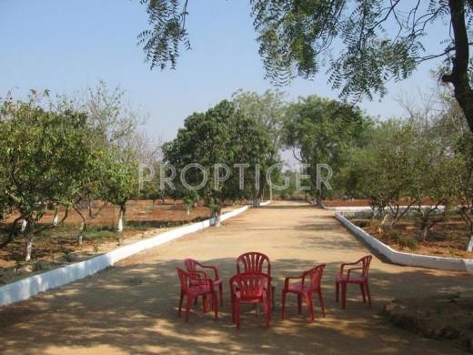 Images for Elevation of White Stone Infrastructure Pvt Ltd Asset Homes