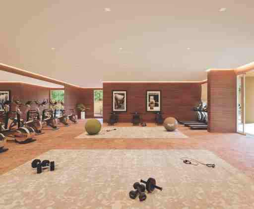  vertis Images for Amenities of Shafalya Vertis