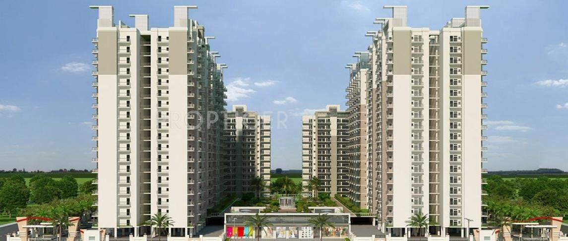  platinum zeta 1 Images for Elevation of Ace Platinum Zeta 1