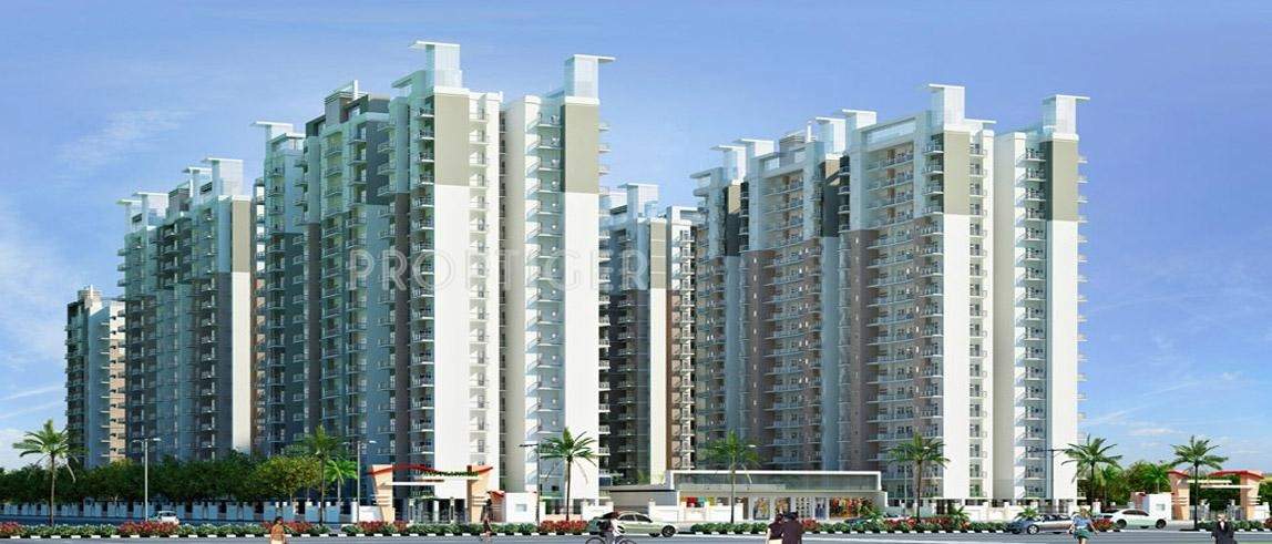  platinum zeta 1 Images for Elevation of Ace Platinum Zeta 1