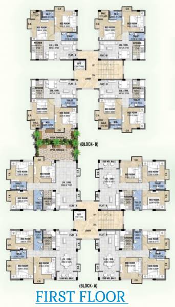  exotica Cluster Plan