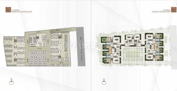 Images for Cluster Plan of Rajyash Sahaj Sapience