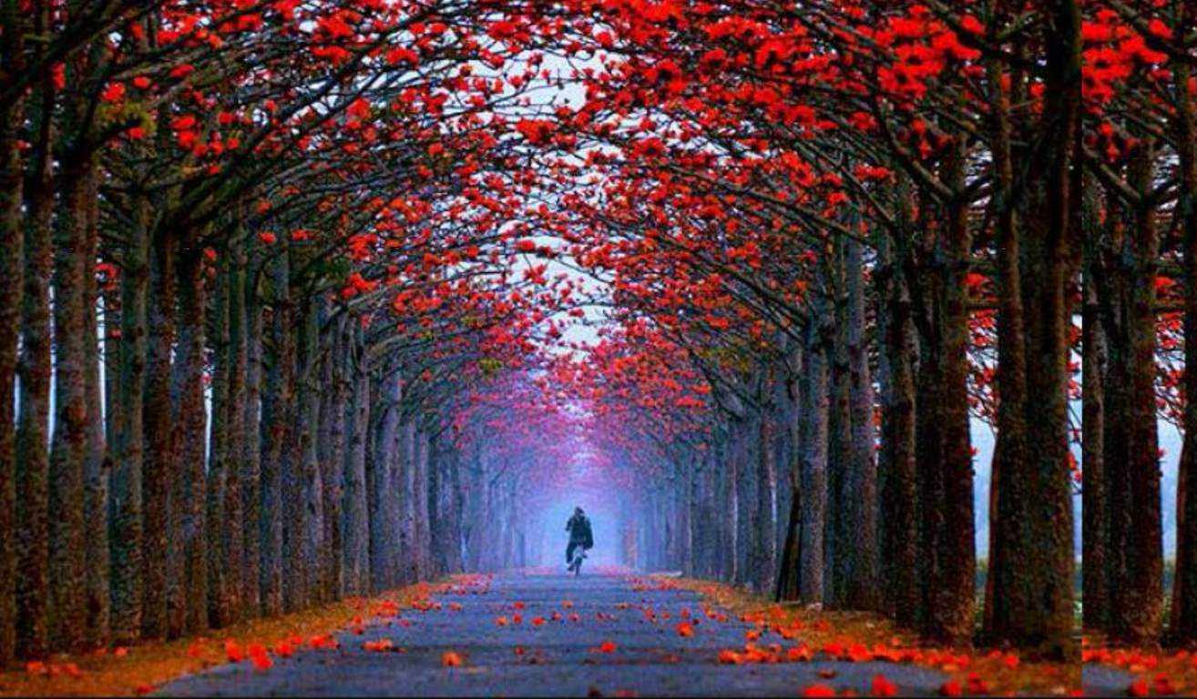  golf links villas Images for Amenities of Godrej Golf Links Villas