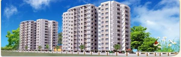 Ideal Carnation Ideal Carnation