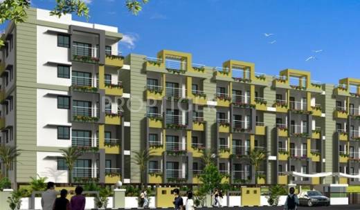 lemon-tree Sai Balaji Builders Lemon Tree Sai Balaji Builders Lemon Tree