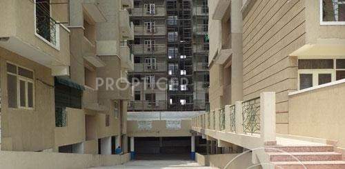  greens Images for Elevation of Express Builders Greens