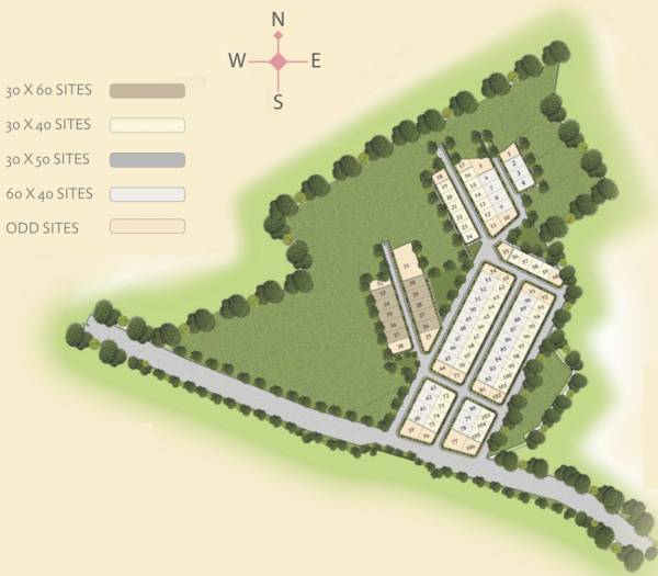 Images for Layout Plan of Bluejay Olive