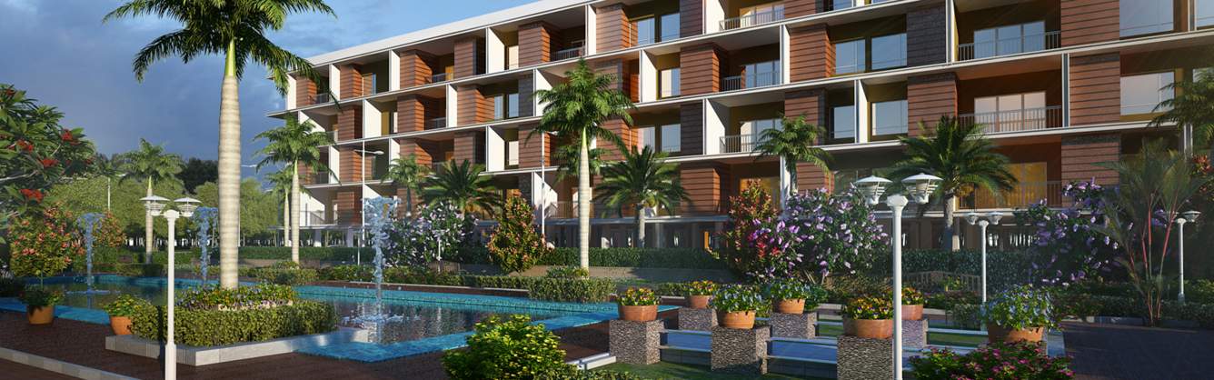  fantastic Images for Elevation of Urban Tree Fantastic