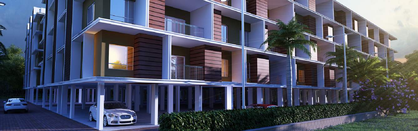  fantastic Images for Amenities of Urban Tree Fantastic