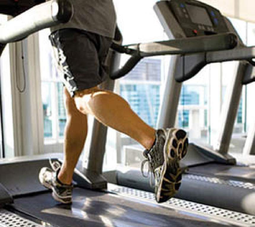  fantastic Images for Amenities of Urban Tree Fantastic