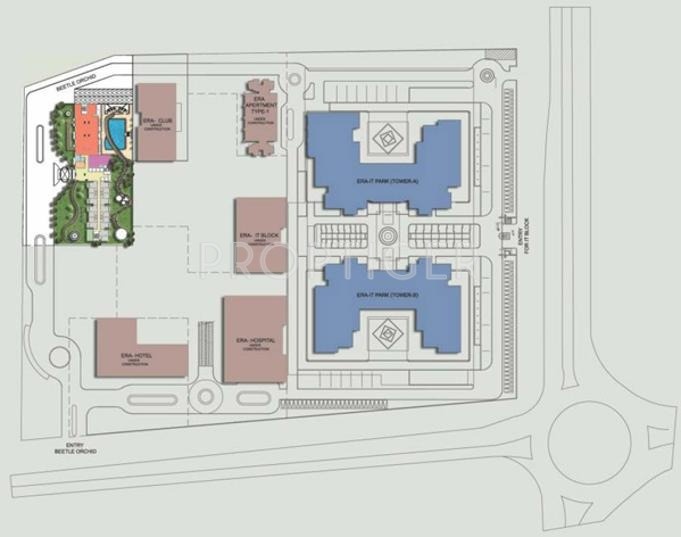 beetle orchid Cluster Plan