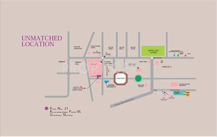 beetle orchid Images for Location Plan of Home and Soul Beetle Orchid