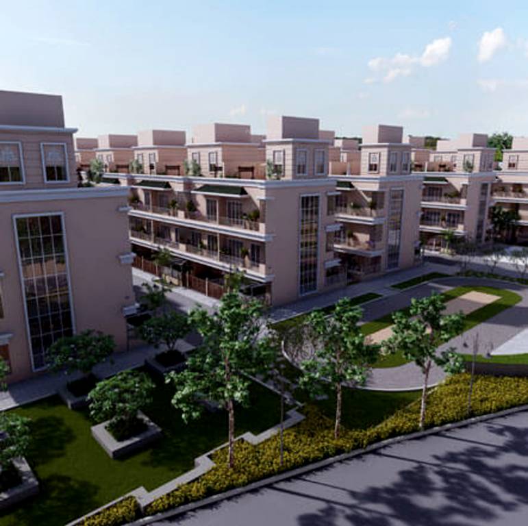 Images for Elevation of SMS The Springs