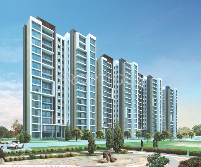 Images for Elevation of MJR Clique Hydra