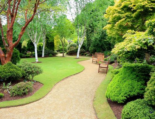 Images for Amenities of Charms Star