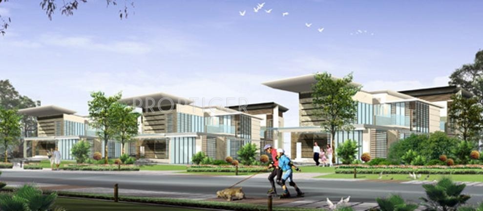 Images for Elevation of Hill County Properties Hill County Villa