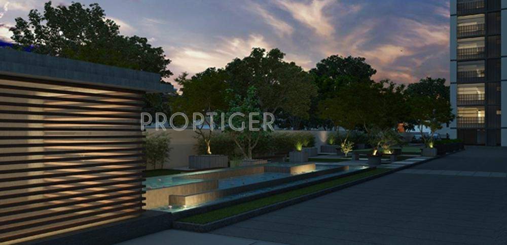  aria Images for Elevation of Gala Aria