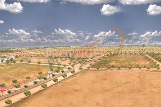 Images for Elevation of Prime Prime Fortune