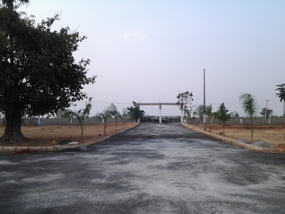  sree nilayam Plot