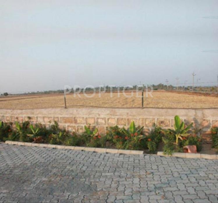 Images for Elevation of Dhanushya Forest Habitat