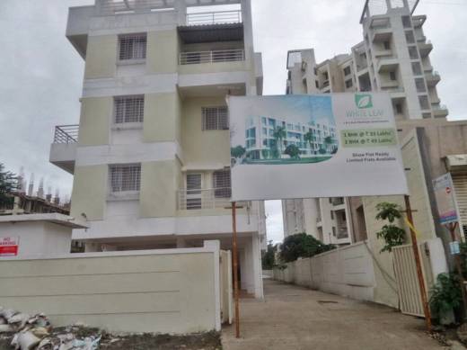 white-leaf Elevation Elevation