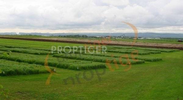 Images for Elevation of Anbu Realtors Sri Krishna Nagar