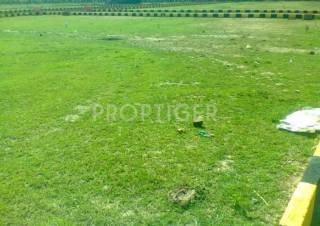 Project Image Project Image