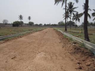 Project Image Project Image