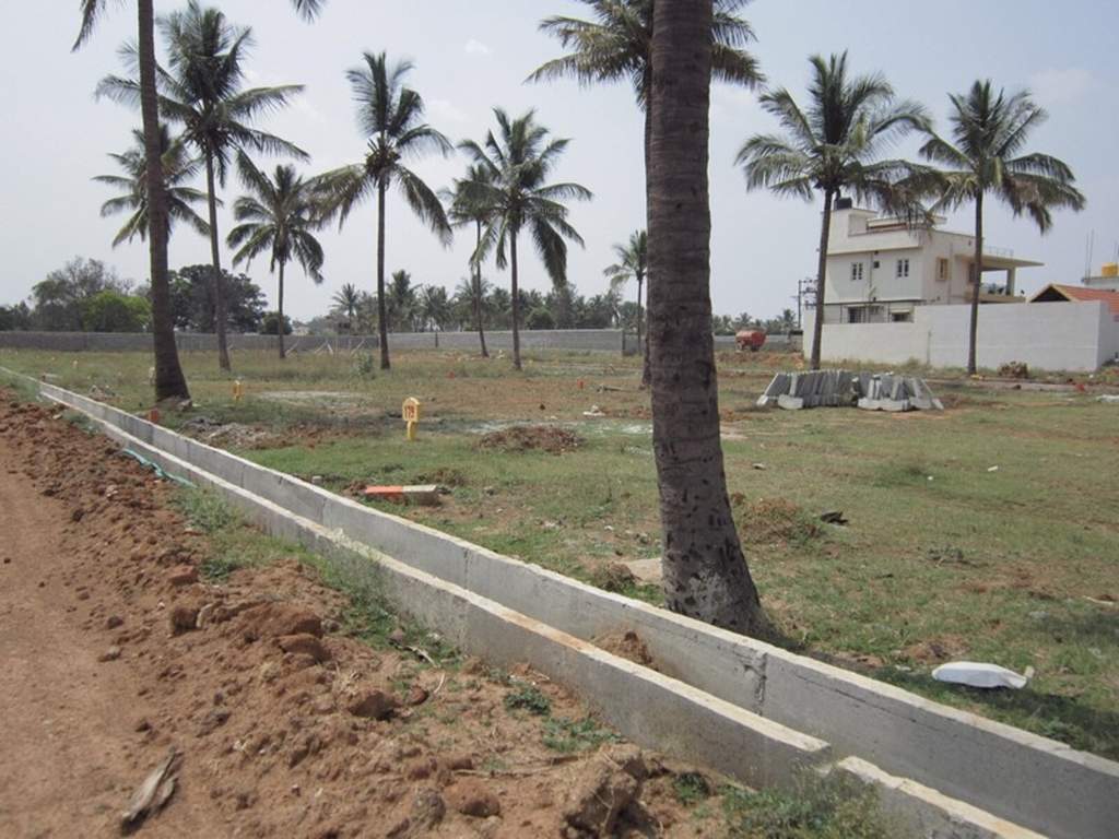 Images for Main Other of Tekton City Garden