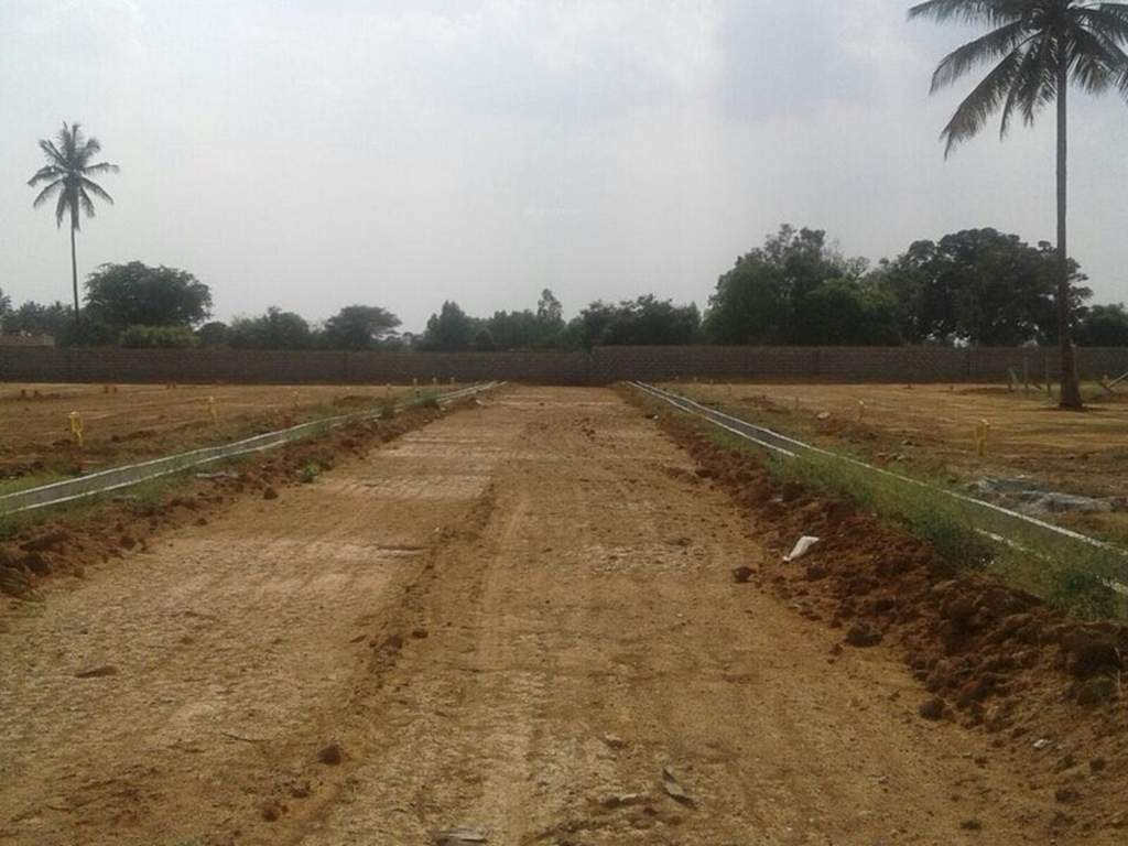 Images for Main Other of Tekton City Garden